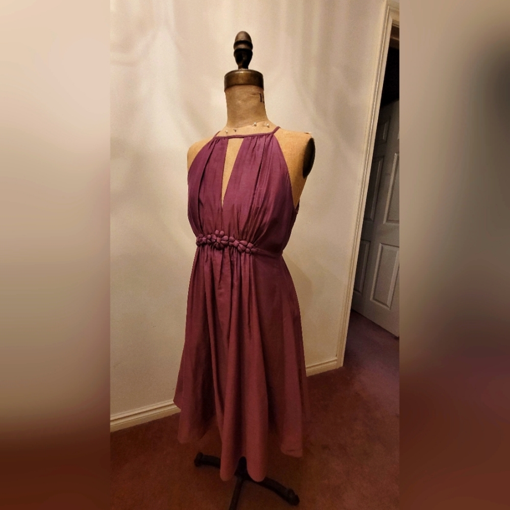 Mulberry colour silk dress